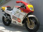 Cagiva Mito 125SP Sport Production Lucky Explorer